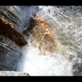 divers_095