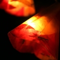 divers_132