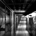 divers_156