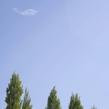 divers_225