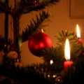 noel07_029