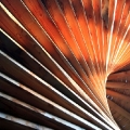 sauvabelin_020 sauvabelin_020