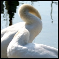 tests_049bis