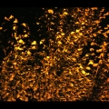 tests_164