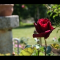 tests_144bis