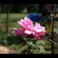 tests_145bis