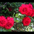 tests_163bis
