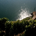 divers_121