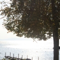 paysage_002