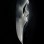 Scream 4